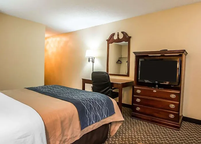 Quality & Near I-39 Hotel 4*